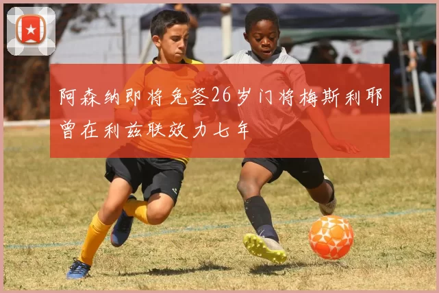 阿森纳即将免签26岁门将梅斯利耶曾在利兹联效力七年