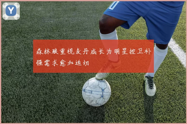 森林狼重视麦丹成长为明星控卫补强需求愈加迫切