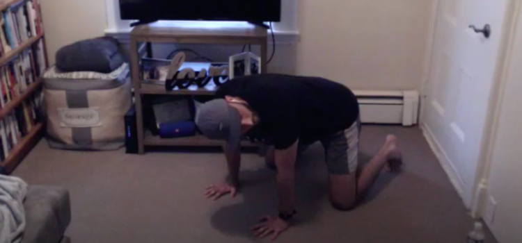 Mobility Class, July 13, 2020 (full-body focus)